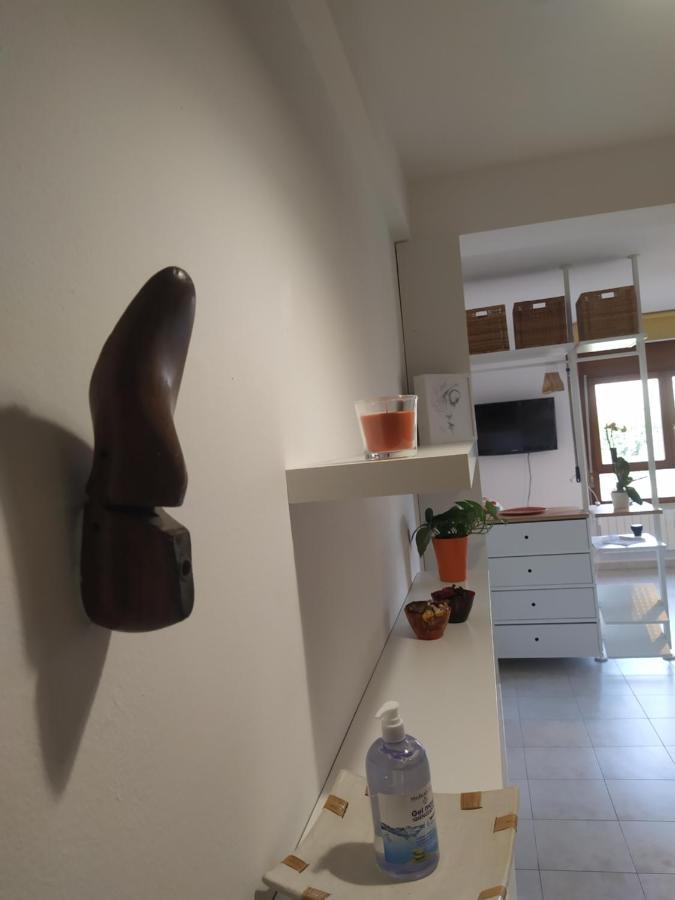 La Fornacetta Apartment Pisa Exterior photo